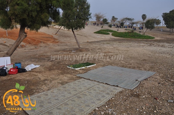 7san 3arafaj (22).JPG